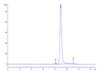 Human HLA-A*11:01&B2M&KRAS G12C (VVVGACGVGK) Monomer Protein (MHC-HM439)