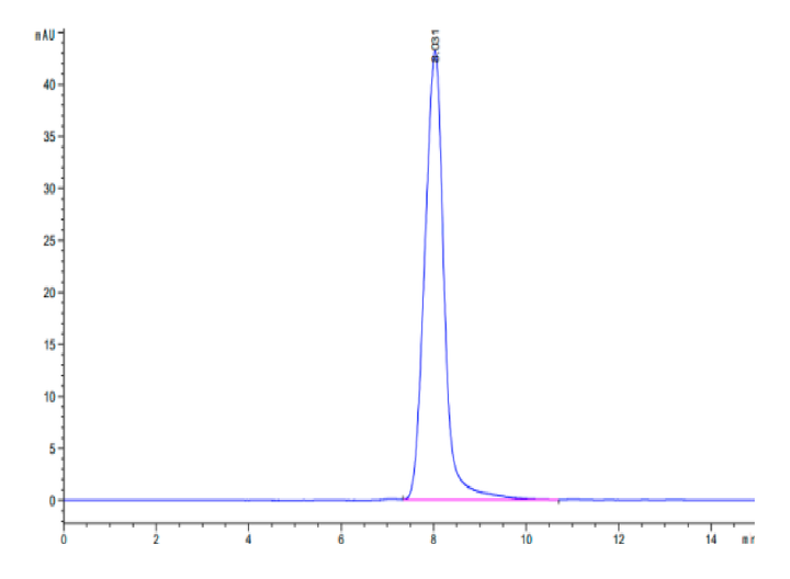 Mouse XPNPEP2 Protein (XPP-MM101)