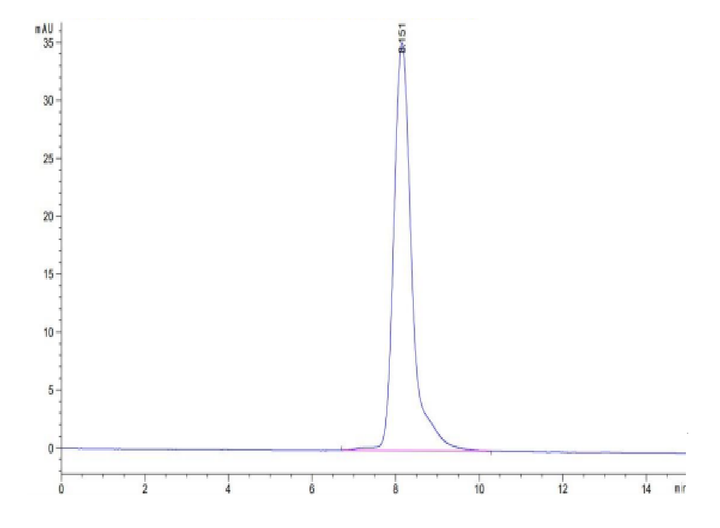 Human XPNPEP2 Protein (XPP-HM101)