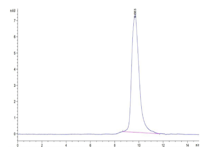 Monkeypox virus M1R Protein (M1R-VM11R)