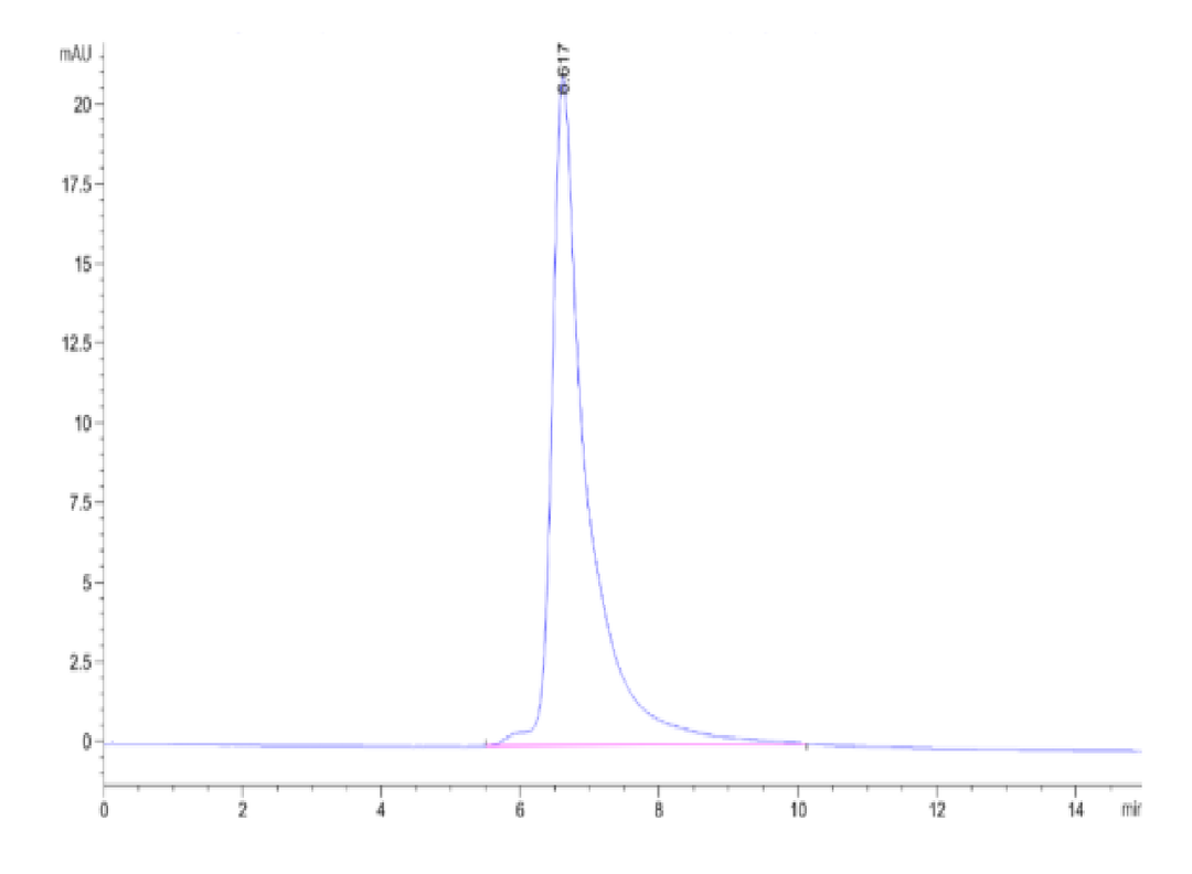 Cynomolgus Adiponectin/Acrp30 Protein (ADI-CM101)