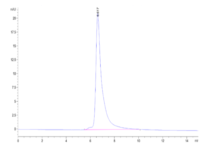 Cynomolgus Adiponectin/Acrp30 Protein (ADI-CM101)