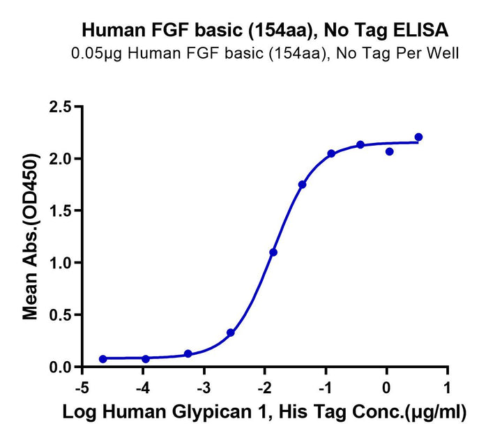 Human FGF basic (154aa) Protein (FGF-HE002)