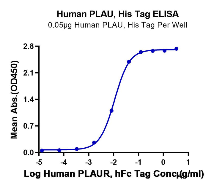 Human PLAU/uPA Protein (pro form)  (PLA-HM102)