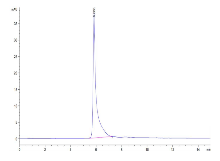Human CDH19/Cadherin 19 Protein (CDH-HE019)