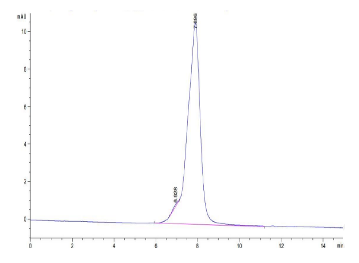 Rhesus macaque CDH17/Cadherin 17 Protein (CDH-RM117)