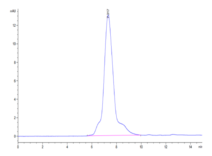 Human Aggrecan Protein (ARN-HM101)