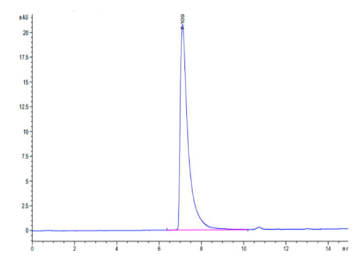 Canine CEACAM-1/CD66a Protein (CEA-DM101)