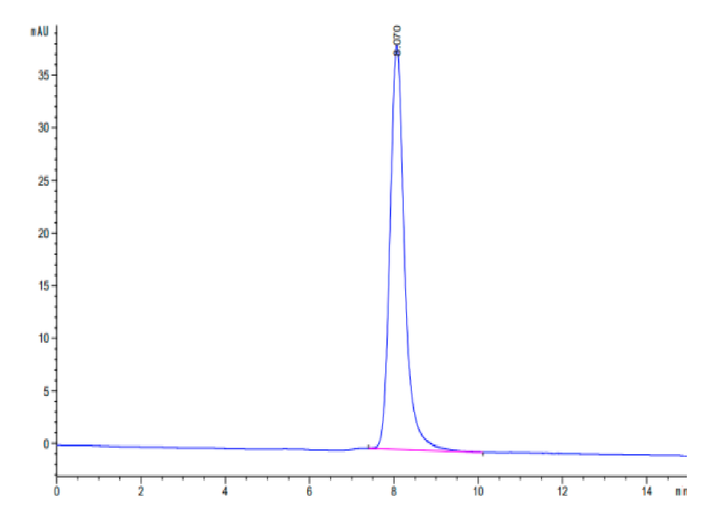 Human MICA alpha 3 Protein (MIC-HM3AD)