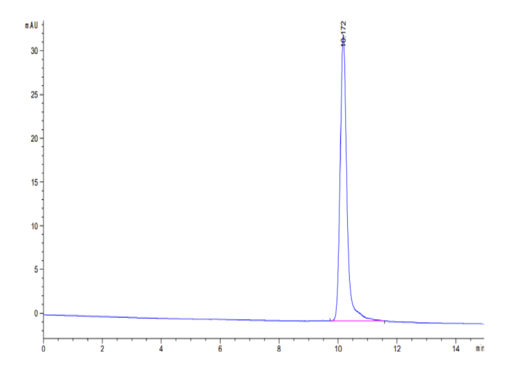 Human IL-3 Protein (IL3-HE003)