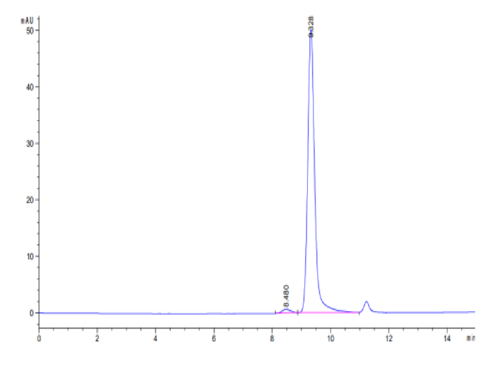 Human FLT3 Ligand Protein (FLT-HE03L)