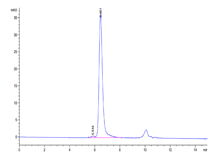 Human HSP70 Protein (HSP-HE170)