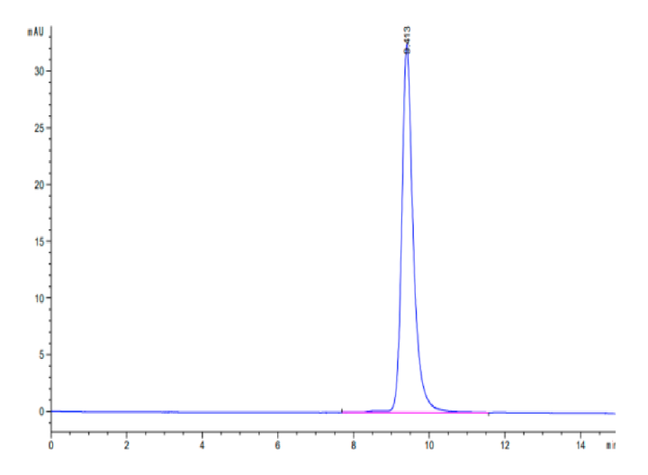 Human PD-L1/B7-H1 Protein (PDL-HM11D)