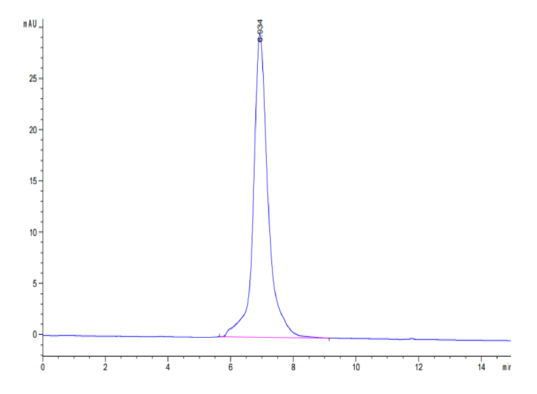 Cynomolgus IGF1R/CD221 Protein (IGF-CM41R)