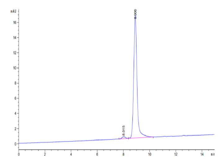 Human SCF Protein (SCF-HE001)