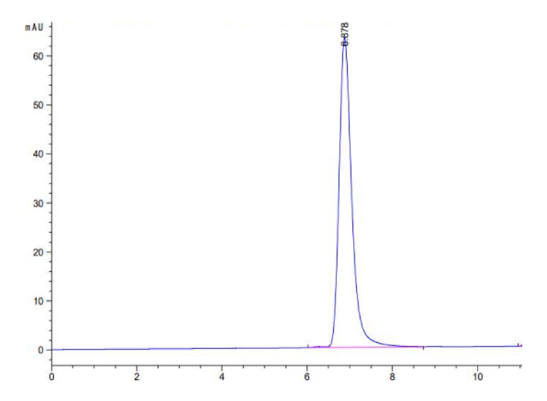 Human HLA-C*03:04&B2M&KRAS G12D (GADGVGKSAL) Tetramer Protein (MHC-HM438T)