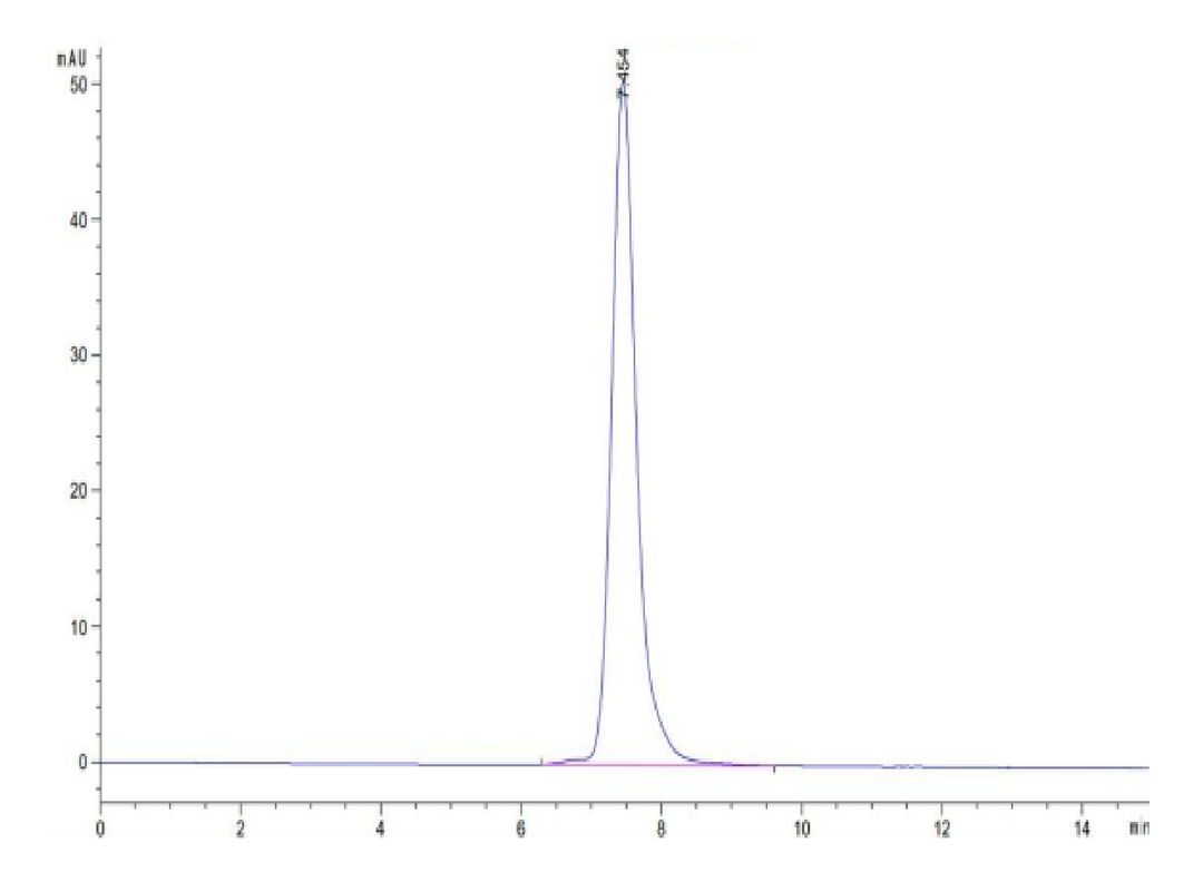 Human MICA Protein (MIC-HM20A)