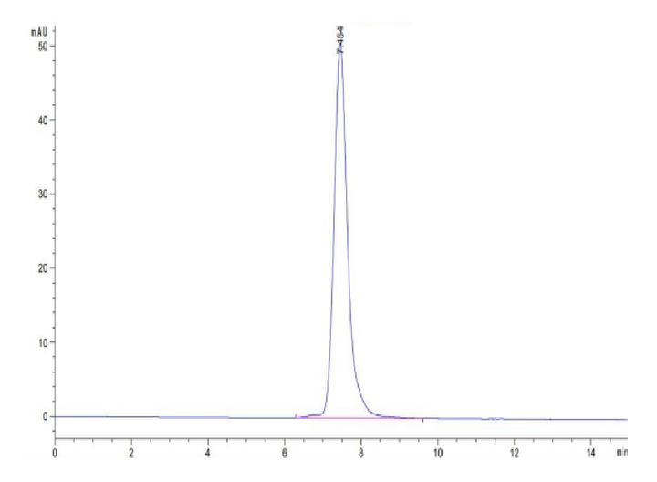 Human MICA Protein (MIC-HM20A)