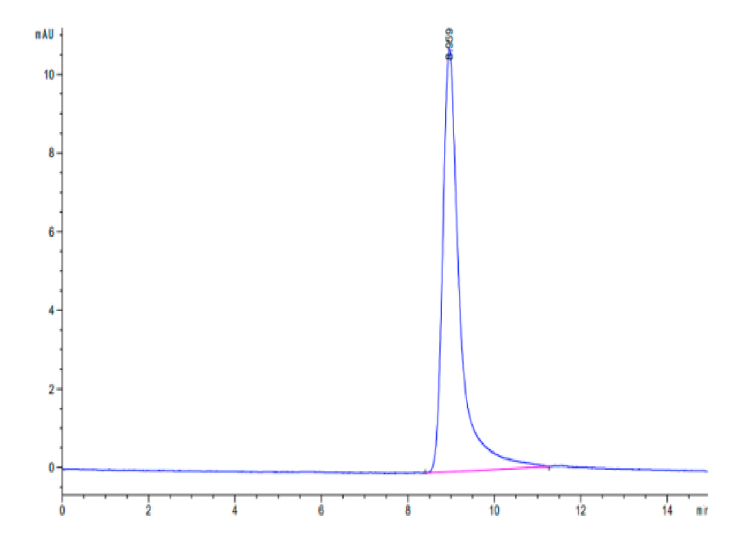 Cynomolgus IFN gamma/IFNG Protein (IFN-CM10G)