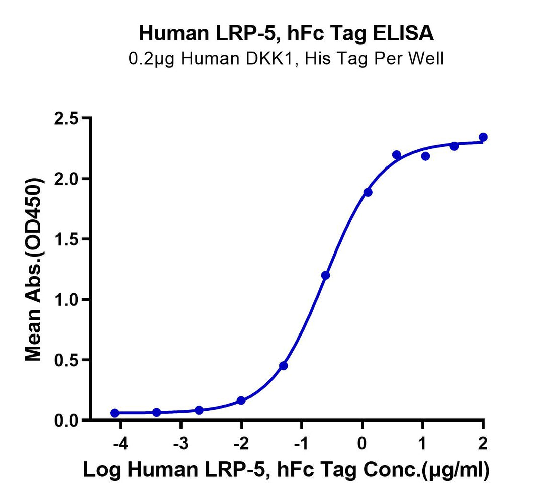 Human LRP-5-Protein (LRP-HM205)