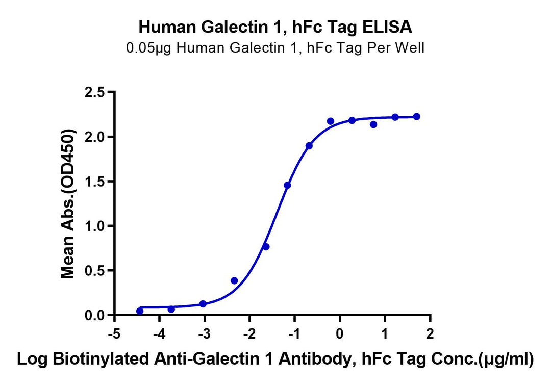 Human Galectin 1 Protein (GAL-HM201)