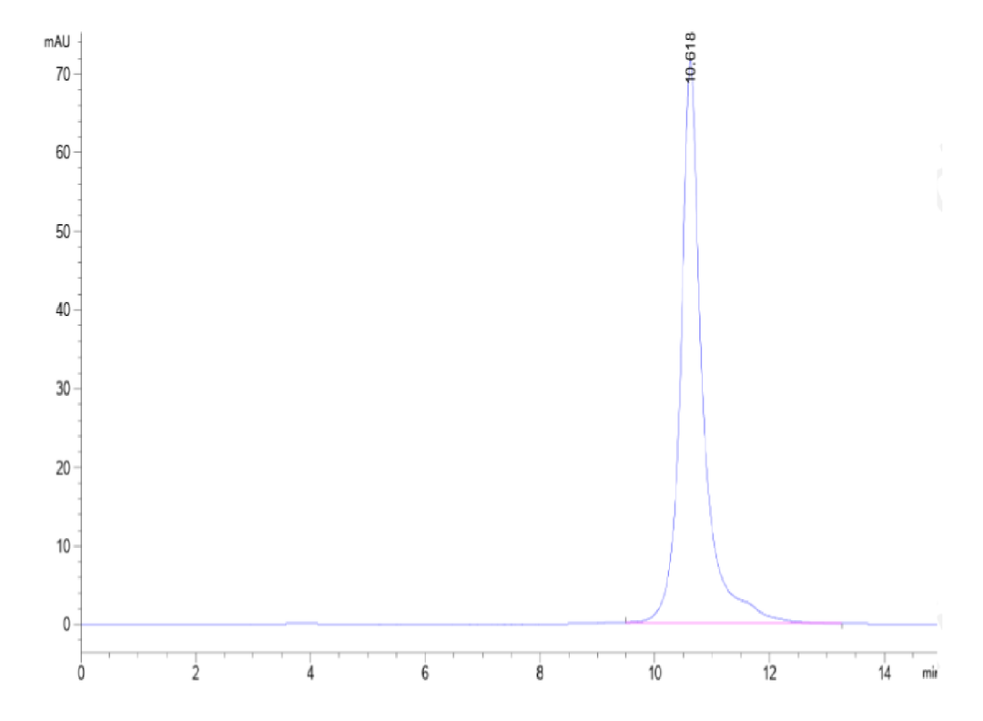 Human LILRB4/CD85k/ILT3 Domain 1+hinge Protein (LB4-HM4D4)