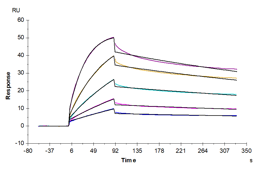 Human ULBP-4 Protein (ULB-HM204)