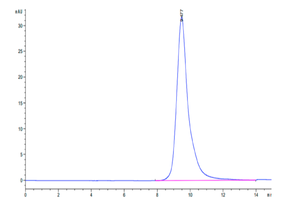 Human ASGR1 Protein (ASG-HM1R1)