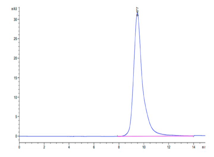 Human ASGR1 Protein (ASG-HM1R1)