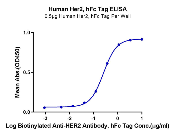 Human Her2/ErbB2 Protein (HER-HM202)