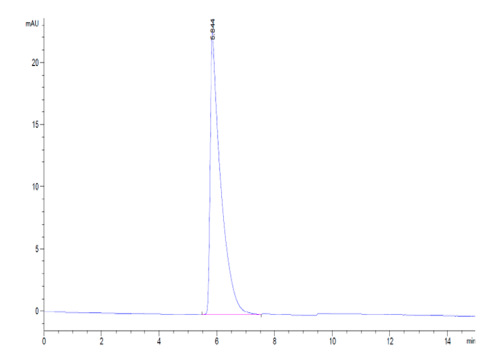 Human CD45/PTPRC Protein (PTP-HM204)