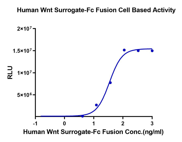 Human Wnt Surrogate-Fc Fusion Protein (WNT-HM23A)