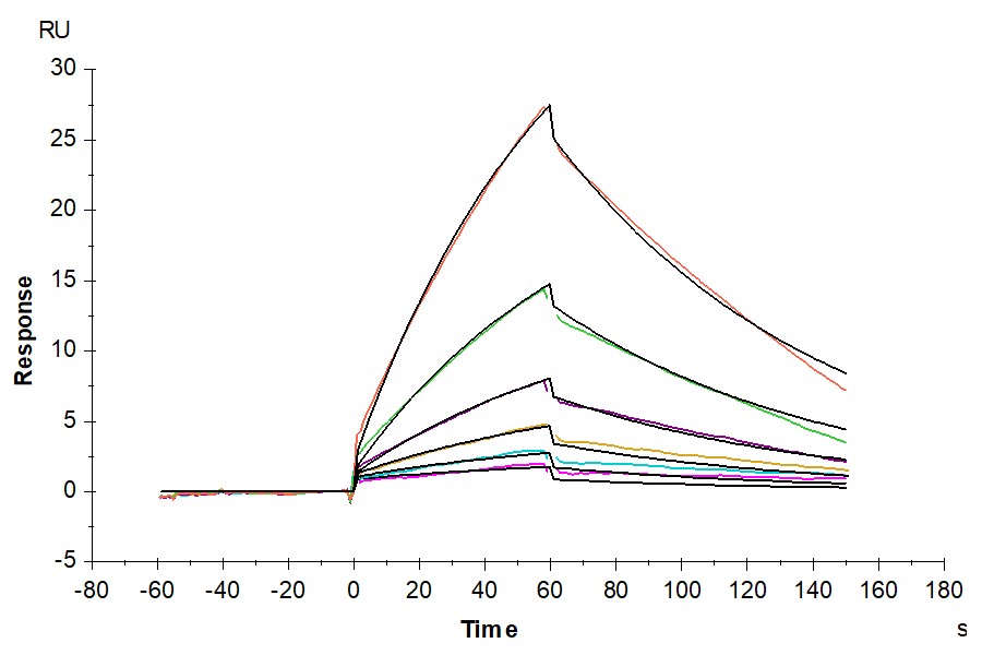 Non-biotinylated Mouse PLAU/uPA Protein (PLA-MM401) | KACTUS