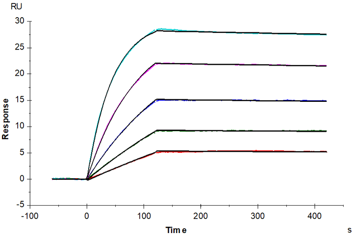 Human HLA-A*02:01&B2M&MAGE-A4 (GVYDGREHTV) Tetramer Protein (MHC-HM401T)