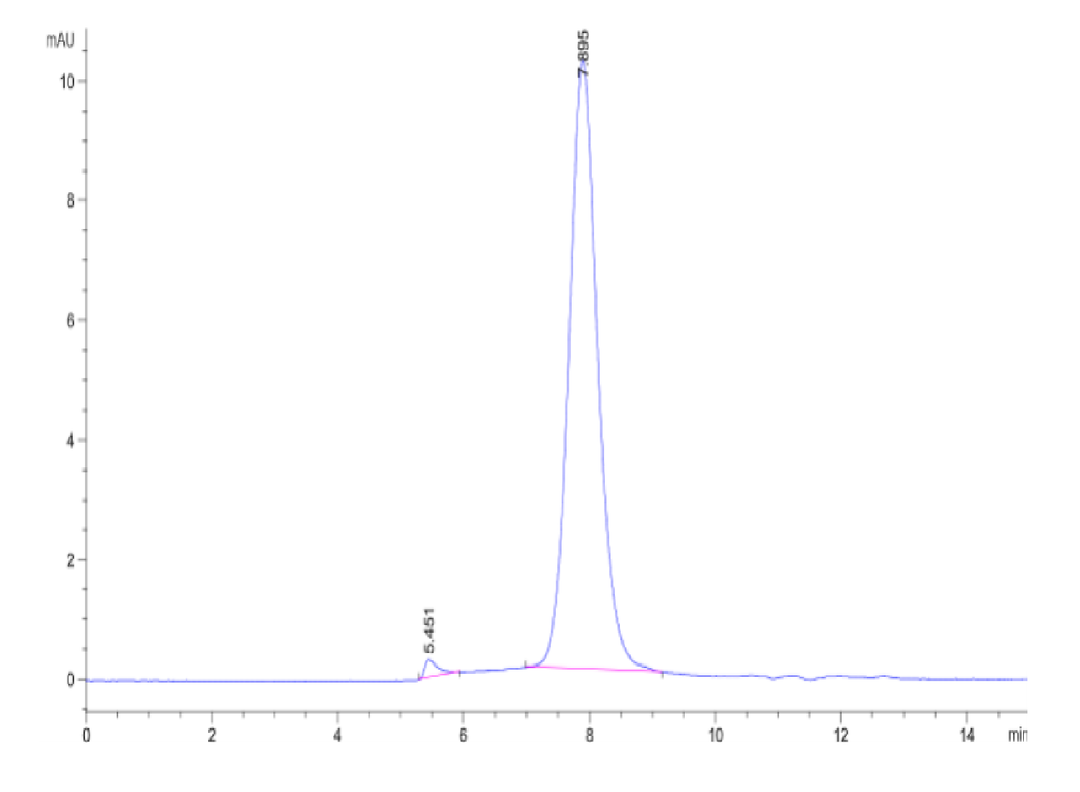 Cynomolgus CSPG4/MCSP Protein (CSP-CM1P4)