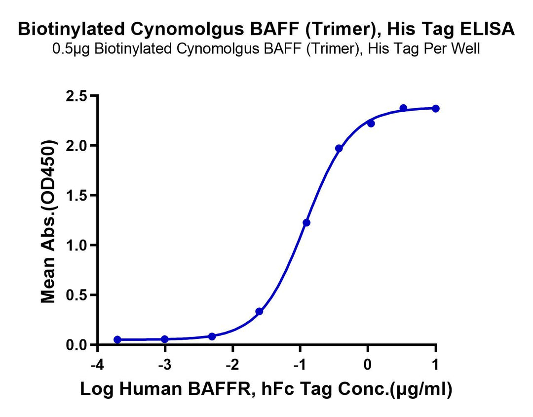 Biotinylated Cynomolgus BAFF/TNFSF13B/CD257 Trimer Protein (BAF-CM412B)