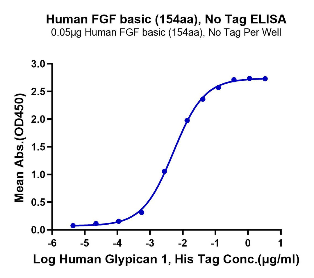 Human FGF basic (154aa) Protein (FGF-HE002)