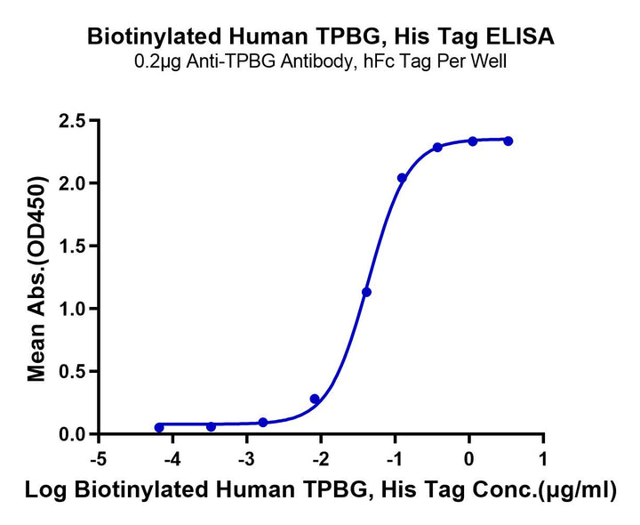 Biotinylated Human TPBG/5T4 Protein (5T4-HM401B)