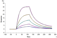 Human BAFF/TNFSF13B/CD257 Trimer Protein (BAF-HM112)
