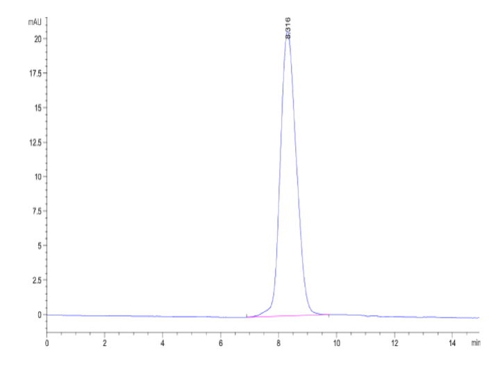 Cynomolgus CCR8 Protein (CCR-CM308)