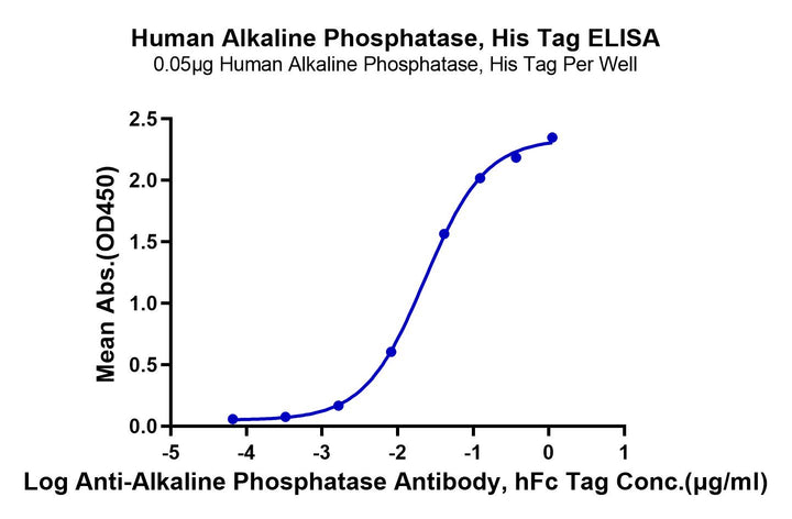 Human Alkaline Phosphatase (Placental type)/ALPP Protein (APE-HM102)