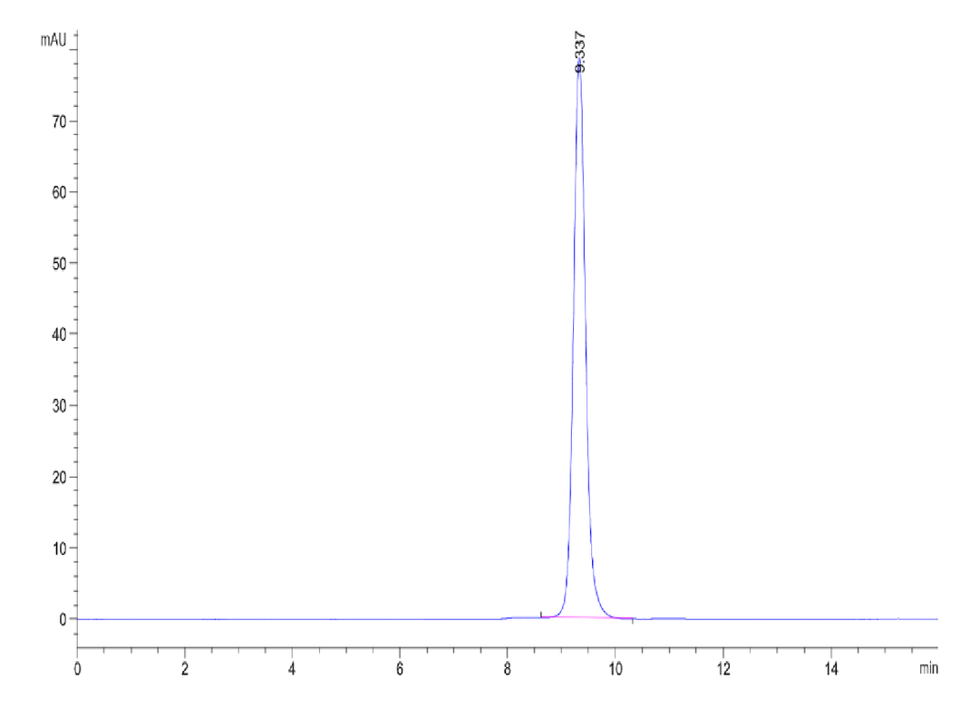 Human HLA-C*03:04&B2M&KRAS G12D (GADGVGKSAL) Monomer Protein (MHC-HM438)