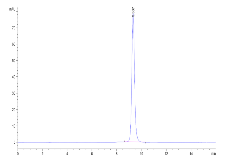 Human HLA-C*03:04&B2M&KRAS G12D (GADGVGKSAL) Monomer Protein (MHC-HM438)