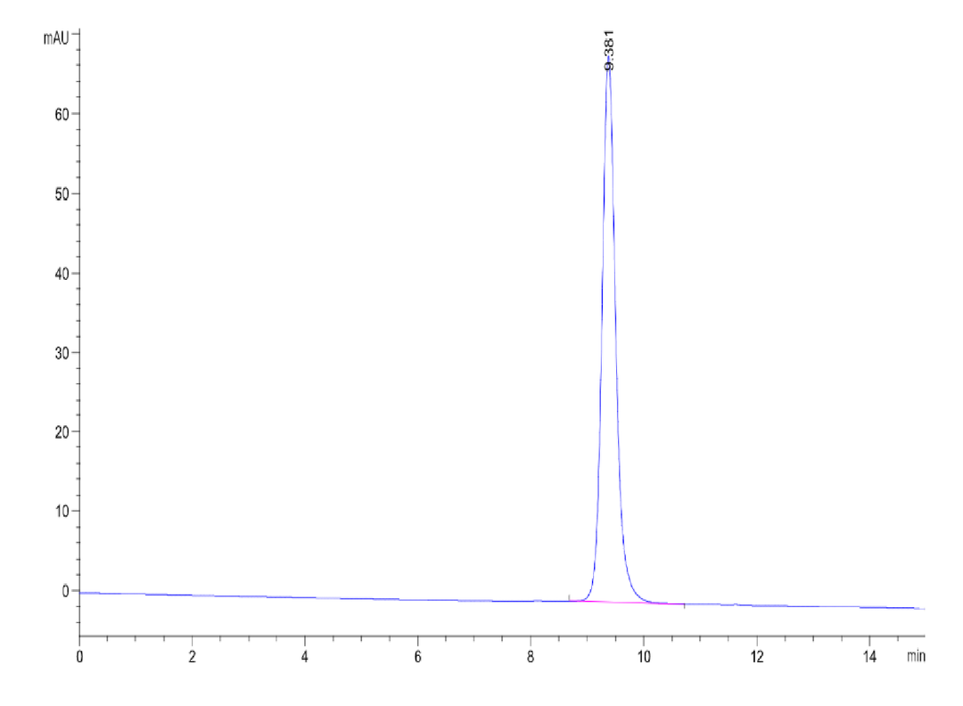 Biotinylated Human HLA-C*03:04&B2M&KRAS G12D (GADGVGKSAL) Monomer Protein (MHC-HM438B)