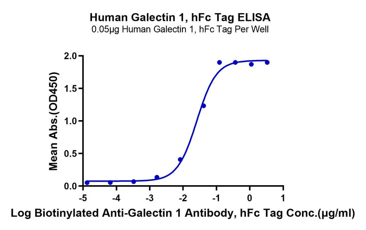 Human Galectin 1 Protein (GAL-HM201)