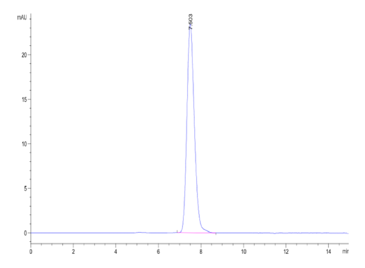 Human TPBG/5T4 Protein (5T4-HM201)