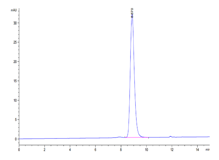 Biotinylated Mouse CD5 Protein (Primary Amine Labeling)  (CD5-MM101B)