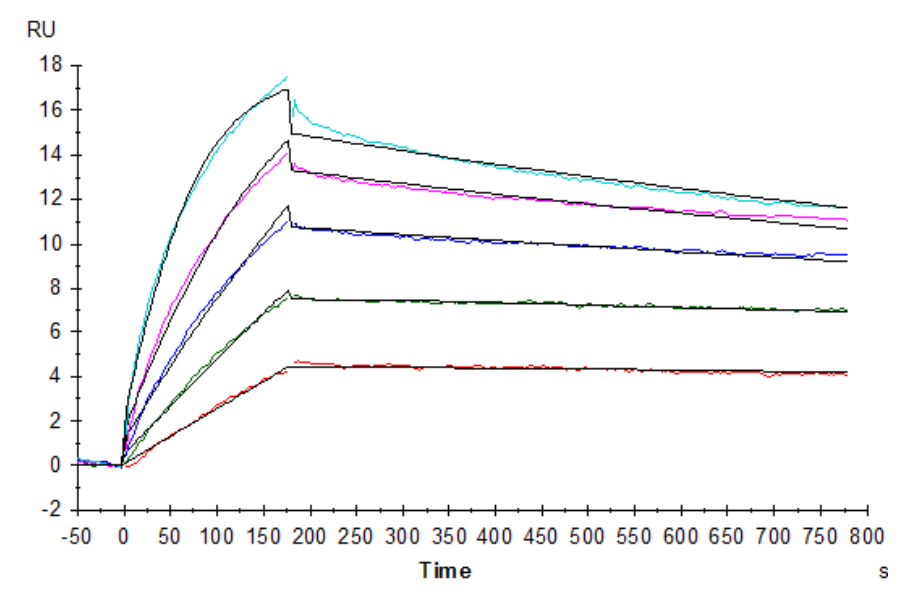 Human Claudin 18.2 Protein-VLP (CLD-HE1822)