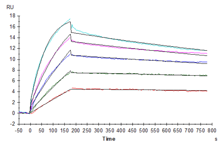 Human Claudin 18.2 Protein-VLP (CLD-HE1822)