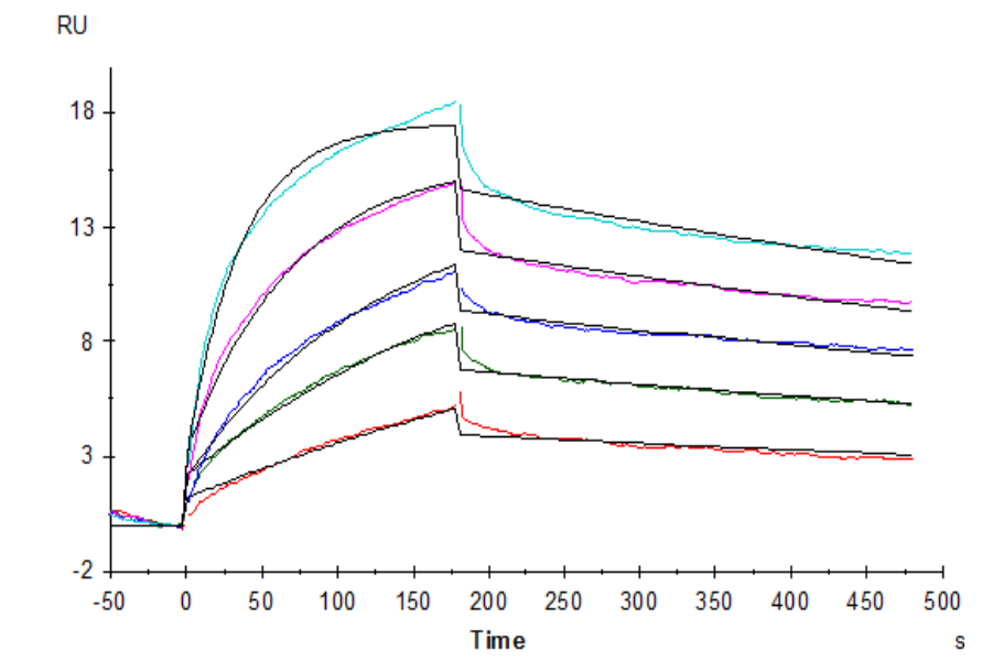 Biotinylated Human GPRC5D Protein-VLP (GPR-HM05PB)